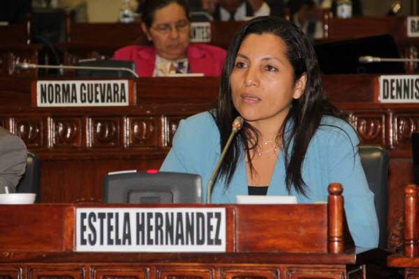 Congresswoman and Community leader, Estela Hernández